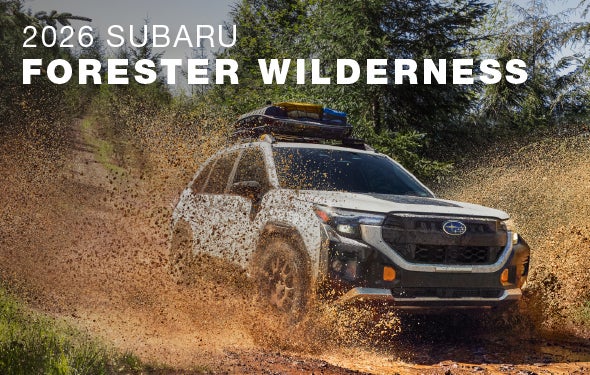 2026 Subaru Forester Wilderness | Subaru of Ann Arbor in Ann Arbor MI