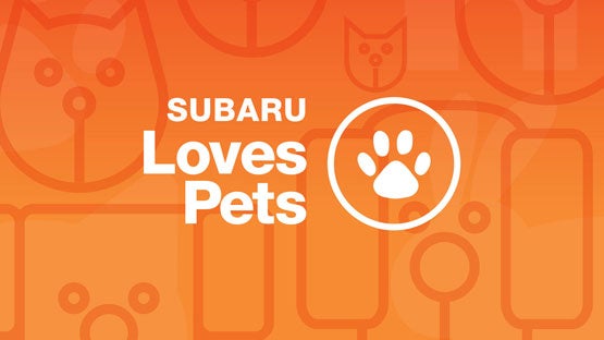 Subaru of Ann Arbor in Ann Arbor MI